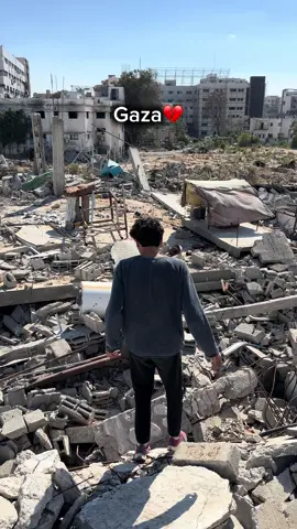 From gaza Help me through the link in the bayou, your donation makes the difference in my life🥺💔🙏