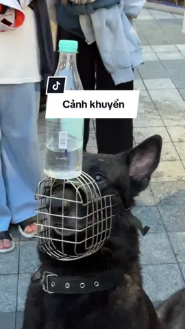 Trời ơi ẻm tập trung cao độ ko nhúc nhích ko chớp mắt lun 😳👏🏻 #ngatranreview #vinhquangCongannhandanVietNam #VinhquangCANDVietNam #vietnam #canhkhuyen #chonghiepvu 
