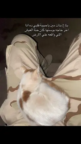 #شمال_سينا_مصر #الجيش_المصري #العيد_فرحه #عيد_سعيد 