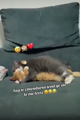 #🤷‍♀️😂 #videoviral 