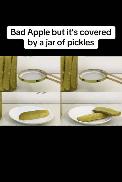 I covered Bad Apple by sampling noises from a jar of pickles!! (i hate myself) || full cover on yt page :) #touhou 