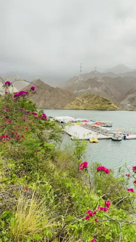 Part - 74 | 📍 Rafisah Dam, Khor Fakkan 🫡☘️🫶. “Al Rafisah Dam is a beautiful man-made lake nestled in the Hajar Mountains near Khorfakkan, Sharjah. Built in the 1980s, it combines natural beauty with modern amenities like walking trails, kayaking, cafés, and picnic areas. Surrounded by lush hills and fed by Wadi Shie, it’s especially stunning during rainy or cloudy weather, when mist and reflections create a serene, almost magical atmosphere.” “ Rainy weather at Al Rafisah Dam transforms the entire landscape into a breathtaking scene of calm and mystery.” We started our trip yesterday and from Dubai to Khorfakkan and then again Dubai. I will share all places where we stayed and visit. It’s my First video of our trip. Let’s explore beautiful 🇦🇪 UAE.  #dubai #khorfakkan #rafisahdam #dam #sharjah #dubai #fujairah #beach #party #trip #f #fountainview #view #moutain #rasalkhaimah #explorer #explore #travel #eiddays #eid #eid2025 #weather #rain 