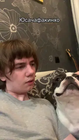 Это моя собака