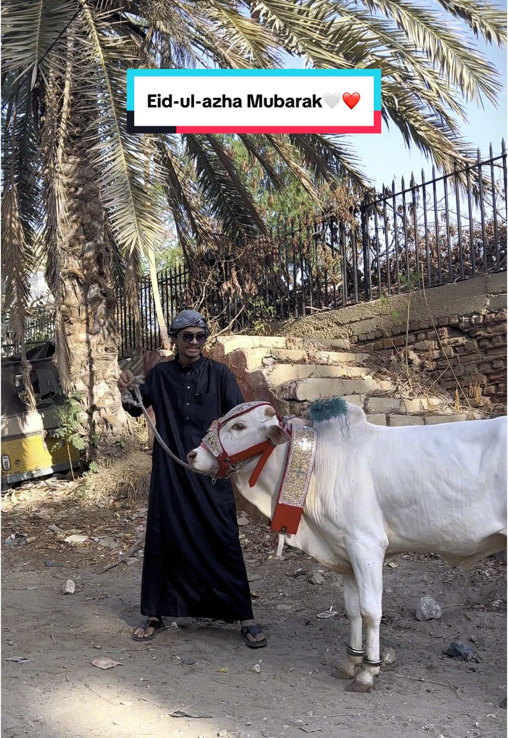 Eid-ul-azha Mubarak🤍❤️  #gharkuuuu #ahadshaikh #qurbani2025 #barieid #cowvideos #trending #foryou 