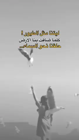 هذا اليوم #في هذا اليوم #اكسبلورexplore #saasa88 #fypシ #كلمات_من_القلب 