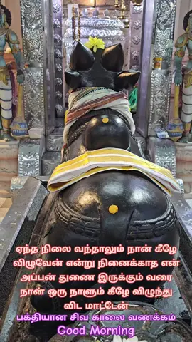 #mahadeva #mahadev #thenadudayashivaneapotri #anbeshivam #appa #shiv #shiva #sivan #eesan 