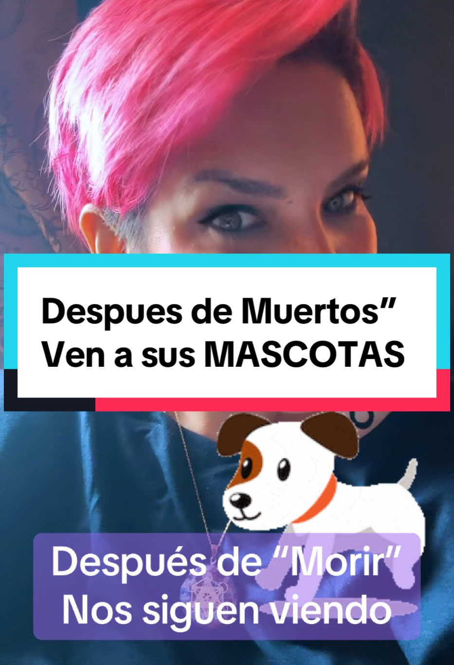 Ellos, tus seres amados trascendidos te pueden ver, oír, sentir! Y se enteran de las situaciones en tu familia, aquí te dejo dos historias que incluyen #cachorros #perritos que ellos#desdeelcielo pueden ver. Te lo comparto con #amor ya que #somosenergia y el amor nunca #muere #lamuertenoexiste somos hijos de #dios Diositos! Y tenemos en otros planos más #conciencia de ello y unas facultades #divina y hermosas! #nosamo #grandiosacomotu #akisha #lamuerte #morir #medium  #duelo #sefue #teperdi #tefuiste #hastaelcielo #enelcielo #miangel #bebeenelcielo👣👼 #nopuedovivirsinti #teextraño #murió #trascender #memuero #nopuedoseguir #tanatologia #psicologo #terapia #duelogestacional #duelos #noestassola #noestassolo #estoycontigo #yoteayudo #soñarconfallecidos #soñarmuertos #nonacido #nonacidos #abortion #abort #aborto #abortar #perdida #perdidadebebe  