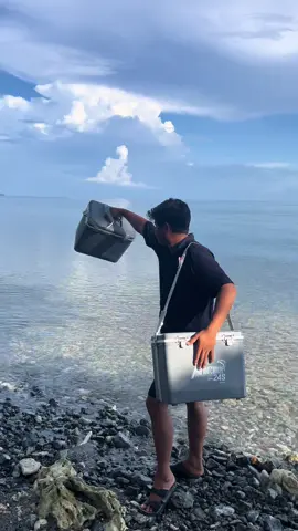 Coolerbox marina 18s dan 24s #coolerbox #coolerboxmurah #mancin 