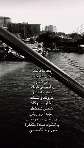 #اكسبلورexplore #البصره_شط_العرب #شعراء_وذواقين_الشعر_الشعبي #foryoupage #fypシ゚ 