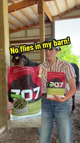 Total game changer! 1 scoop a day for an average size horse and no flies to be found. My horses and neighbors are going to be so happy this summer.  @Formula 707 #flies #fly #horsesontiktok #horsesoftiktok #horsefeed #horsebarn #horseowner #horsecare #happyhorses #horseproducts #horsesupplements 