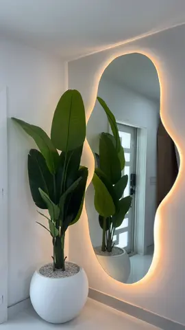 Las bellezas que entregamos hoy 🥰🤩 #elensgarden #homedecor #moderndecor #homedesing #lowmaintenance #plantasartificiales #miami #bigplants #birdofparadise 