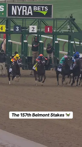 WHAT. A. RACE! 🐎 #belmont #horseracing #triplecrown 
