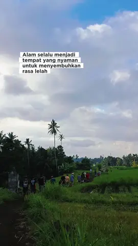 Bungaya🌾 #fyppppppppppppppppppppppp #alam #fyp #bungaya