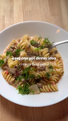 Ingredients - 1 lb ground beef - 1 lb choice of pasta - 1 small onion, chopped - 3 cloves garlic, minced - 1 can (14.5 ounces) diced tomatoes - 32oz low sodium beef broth - 1 cup heavy cream - 1 cup shredded cheddar cheese - 1 tsp Italian seasoning - Salt and pepper to taste - Fresh parsley, chopped (for garnish) Directions 1. In a large pot over medium heat, brown the ground beef until fully cooked. 2. Add the chopped onion and garlic to the pot, sautéing until the onion is translucent. 3. Stir in the diced tomatoes, beef broth, and Italian seasoning. 4. Add the pasta and let simmer for about 10-12 min. 5. Stir in the heavy cream and shredded cheddar cheese, mixing until the cheese is melted and the sauce is creamy. Season with salt and pepper to taste. 6. Let it cool, serve, and enjoy!  #Recipe #recipes #Foodie #foodtiktok #FoodTok #pasta #EasyRecipe #easymeal #toddlermeals #toddlerfood #dinner #DinnerIdeas 