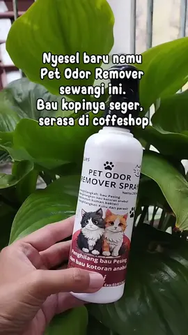 Pet odor remover dari Lues #petodorremoverspray #petodorremoverkucing #petodorpalingampuh #luespetodor #petodorspray  #luespetodorremoverspray #luespetodoremover #wibgajian 
