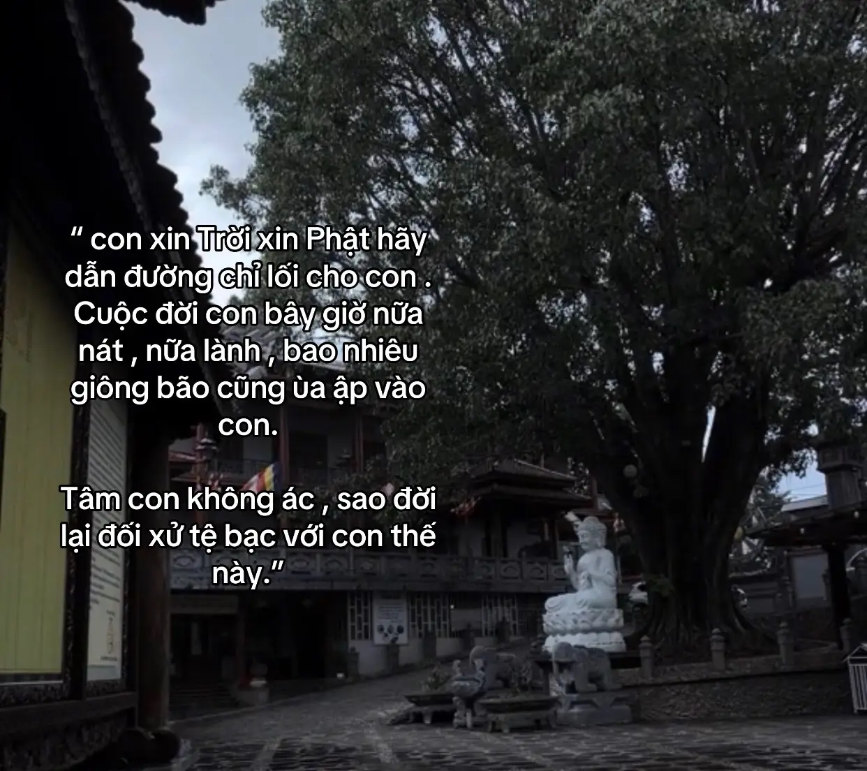 #xhtiktok #phậtphápnhiệmmầu 