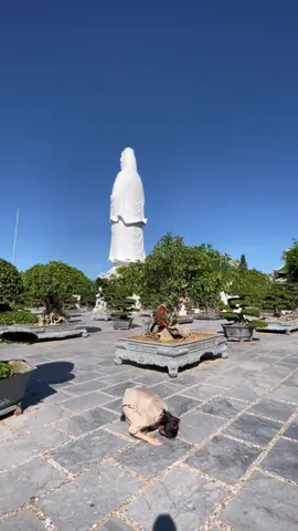 Xin Phật 🙏🙏…. Nếu là nhân duyên xin người cho chúng con ở bên nhau yên bình, nếu là nghiệp duyên xin người để chúng con buông bỏ nhau một cách nhẹ nhàng…#phatgiao #tambonhatbai #tuyduyen 