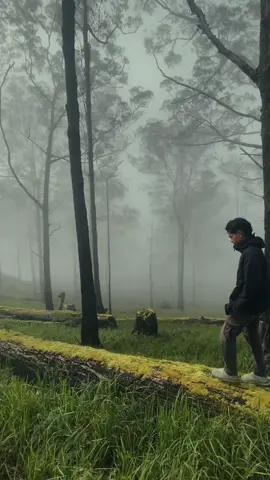 #gunung uyelewu #puncak #fy #alam 