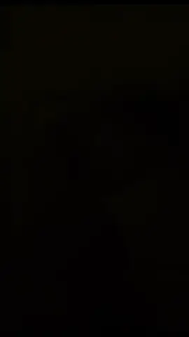 #CapCut 