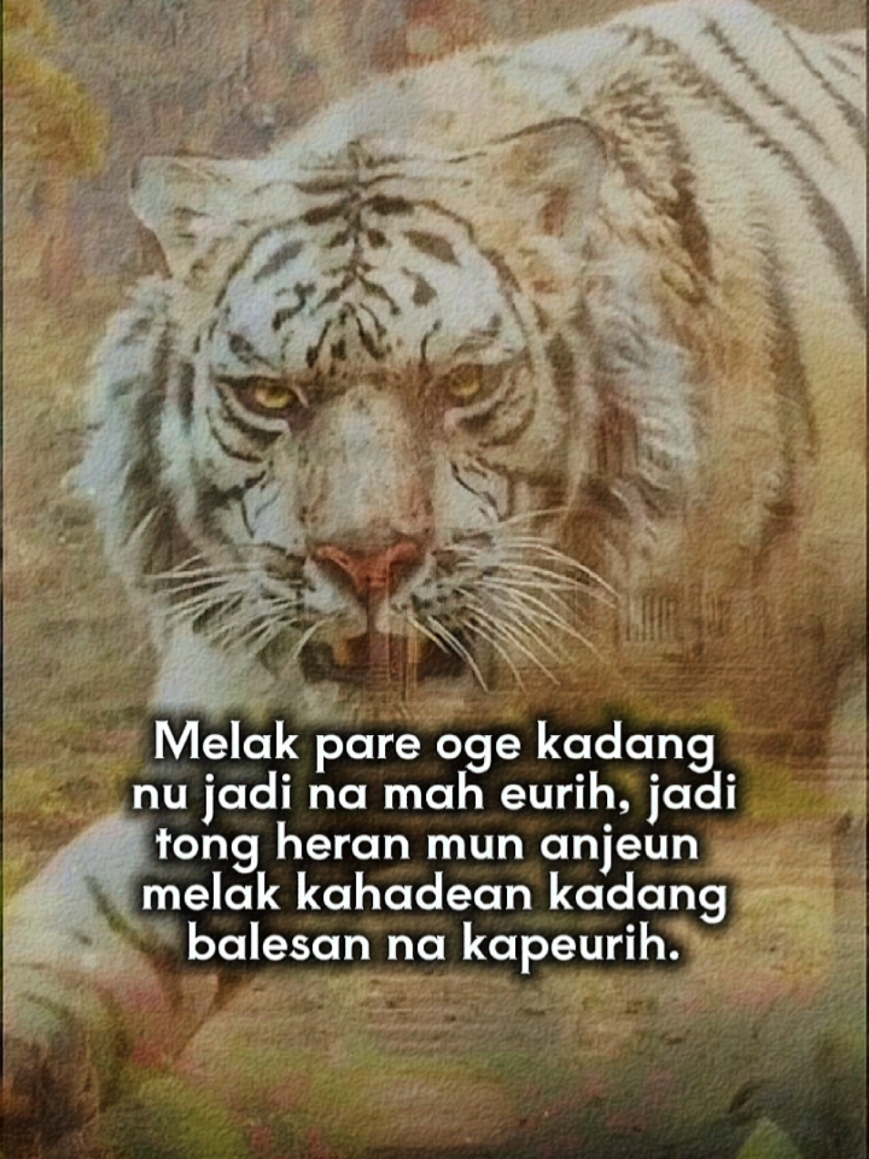 #assalamualaikum #storysunda #tarompetsunda #arditarompet #katakatasunda #pepelingsunda #pepelingdiri #quotessunda #jatinangorpride #sundapride #pyf #trendingvideo #sumedang 