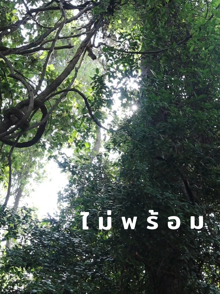 #ไม่พร้อม#รักตัวเอง #เมื่อไม่พร้อม #เทรนวันนี้ #tiktok #ธรรมะขัดนิสัย #คุณค่าในตัวเอง #พลังบวก #กําลังใจ #ทําวันนี้ให้ดีที่สุด 
