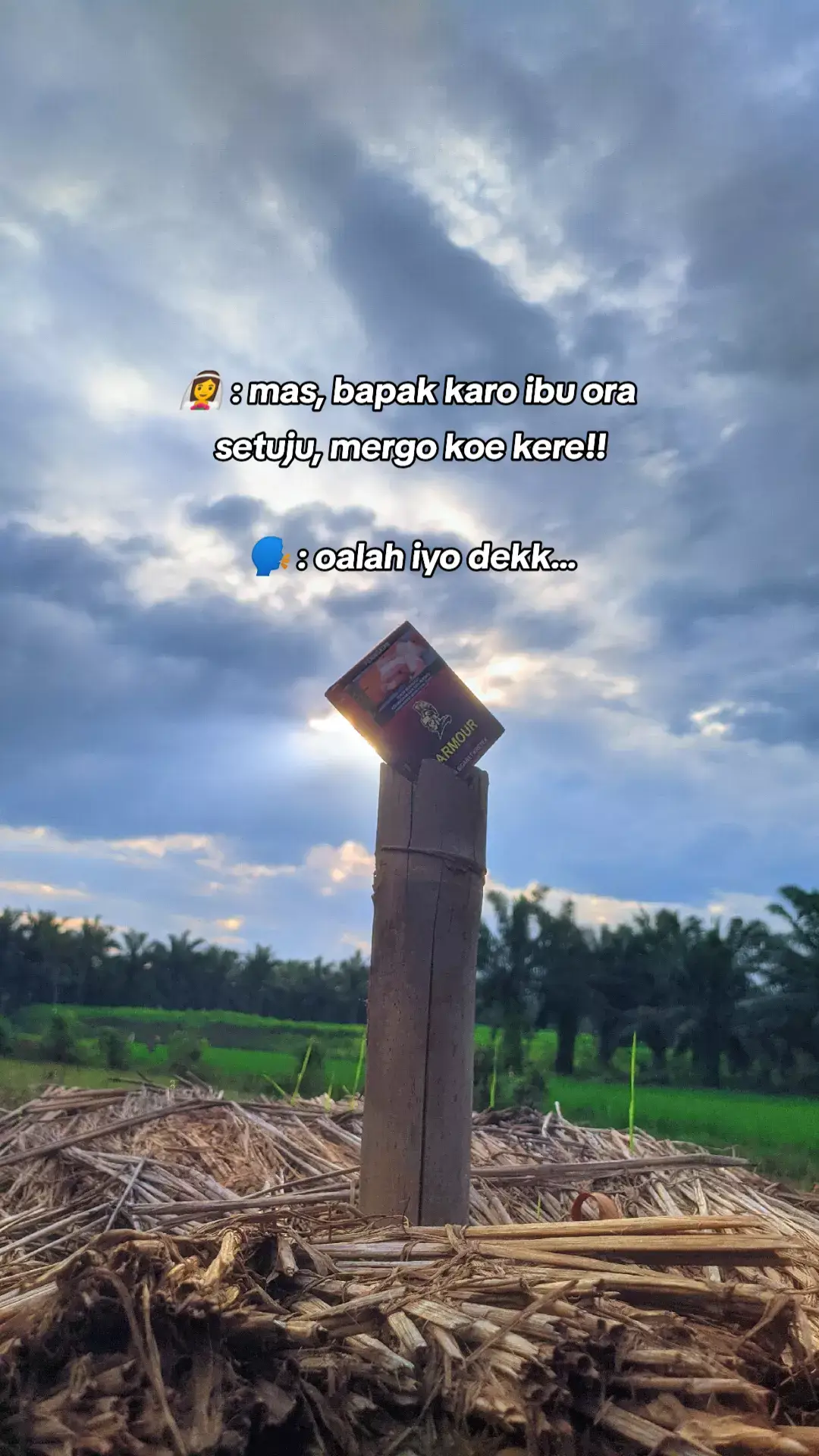 Cinta Dan Air Mata 🎶 #gerrymahesa #mahesamusic #jawapride #dangdut #dangdutkoplo #xyzbca #icikipung #storytime 