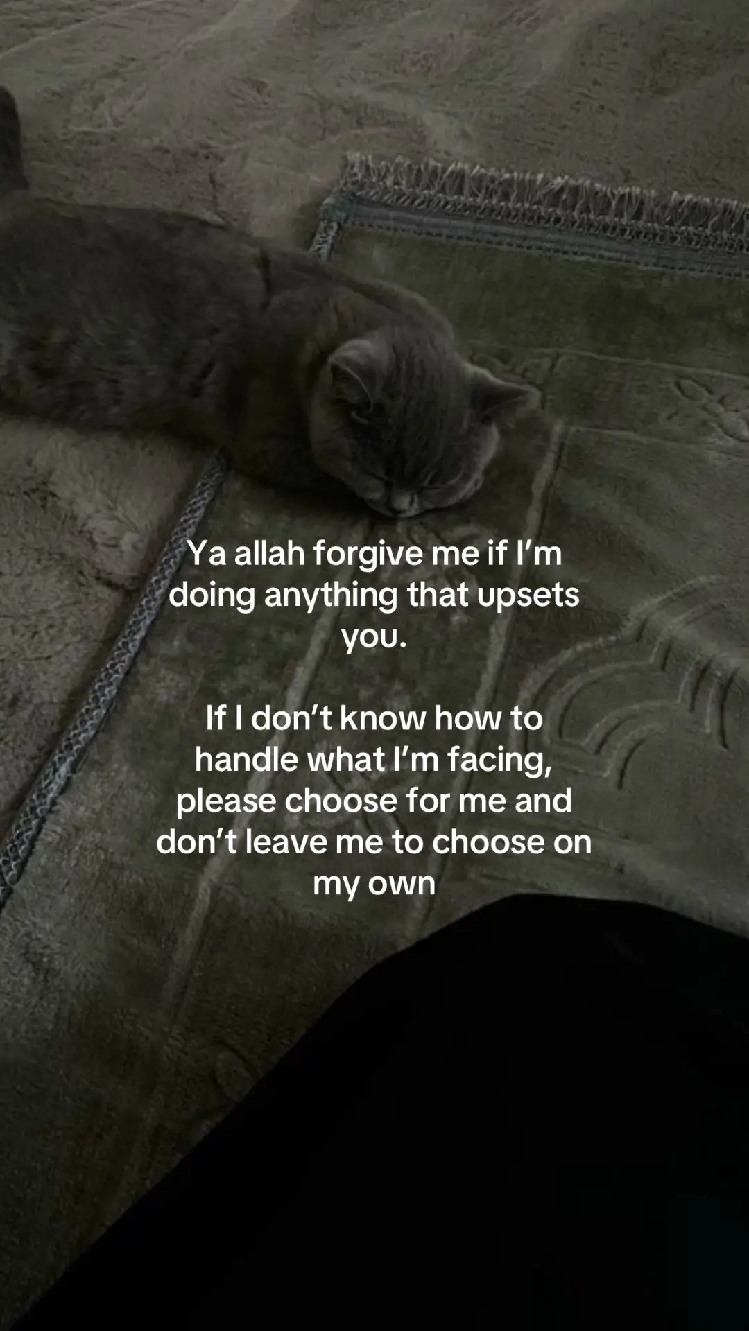 🙏🏻                                         #دعاء #fyp #foryoupage #اجر_لي_ولكم #اكسبلورexplore #قران #كروب_ميرا #كروب_رولا؟ #كروب_قمراتي_بنت_الخليل #قروب_سبيد؟ 