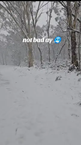 #snow  #canberra  #victoria  #australia  #melbourne  #offroad  #snowdriving  #camping 