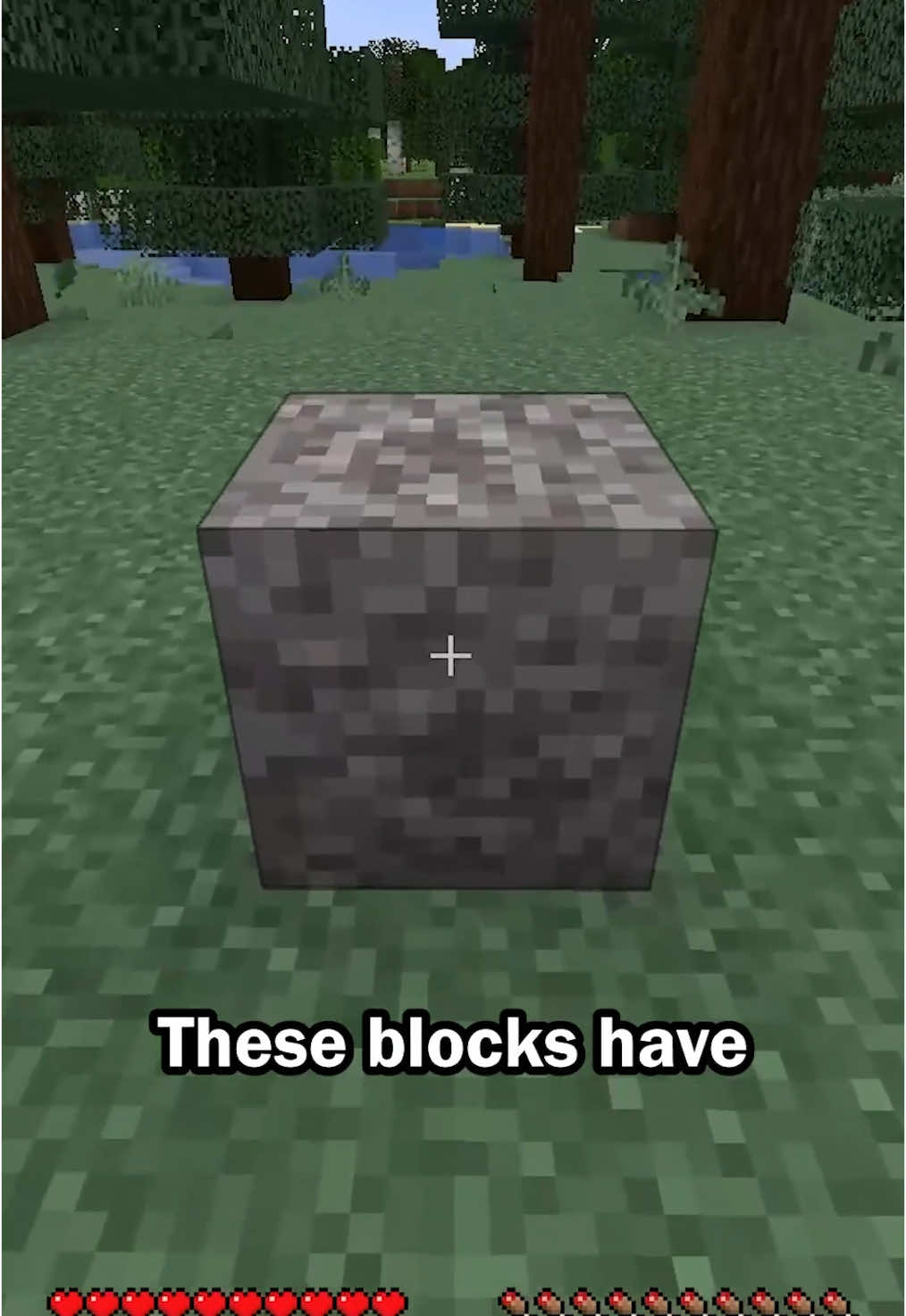 What are trail ruins in Minecraft #Minecraft #ruins 