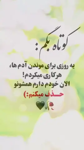 #CapCut #خزف #بیخیال #هزاره_پشتو_ازبک_افغان_هم_وطن #افغان #اروپا #زن#دل #tik_tok #tik 