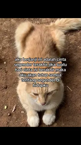 #sadstory #follow #wlw
