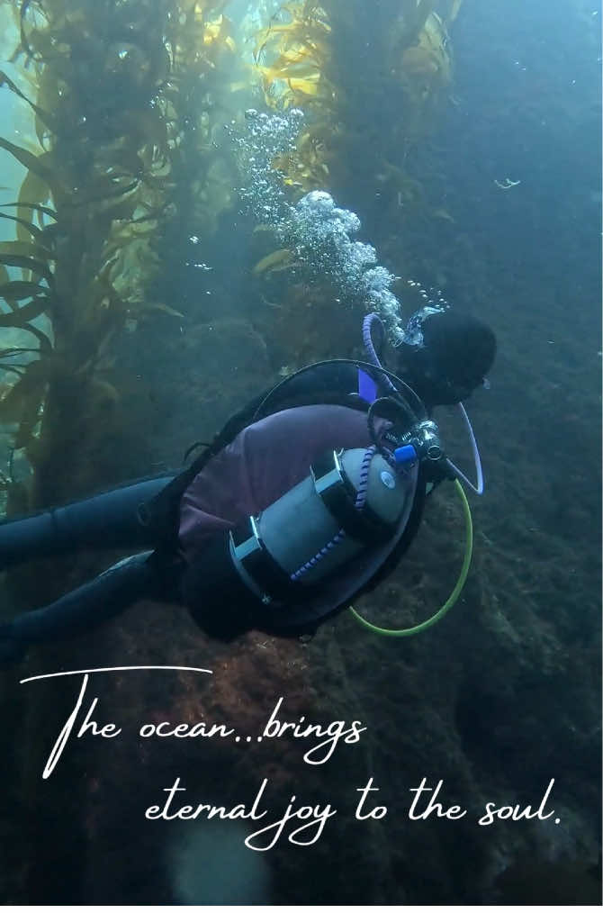 As divers, we share a deep connection with the ocean.  