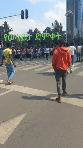 #wolaitatiktok🇧🇪🇧🇪🇧🇪🇧🇪🇧🇪 #creatorsearchinsights #brook90dayschallenge #brookchallenge #ethiopian_tik_tok🇪🇹🇪🇹🇪🇹 