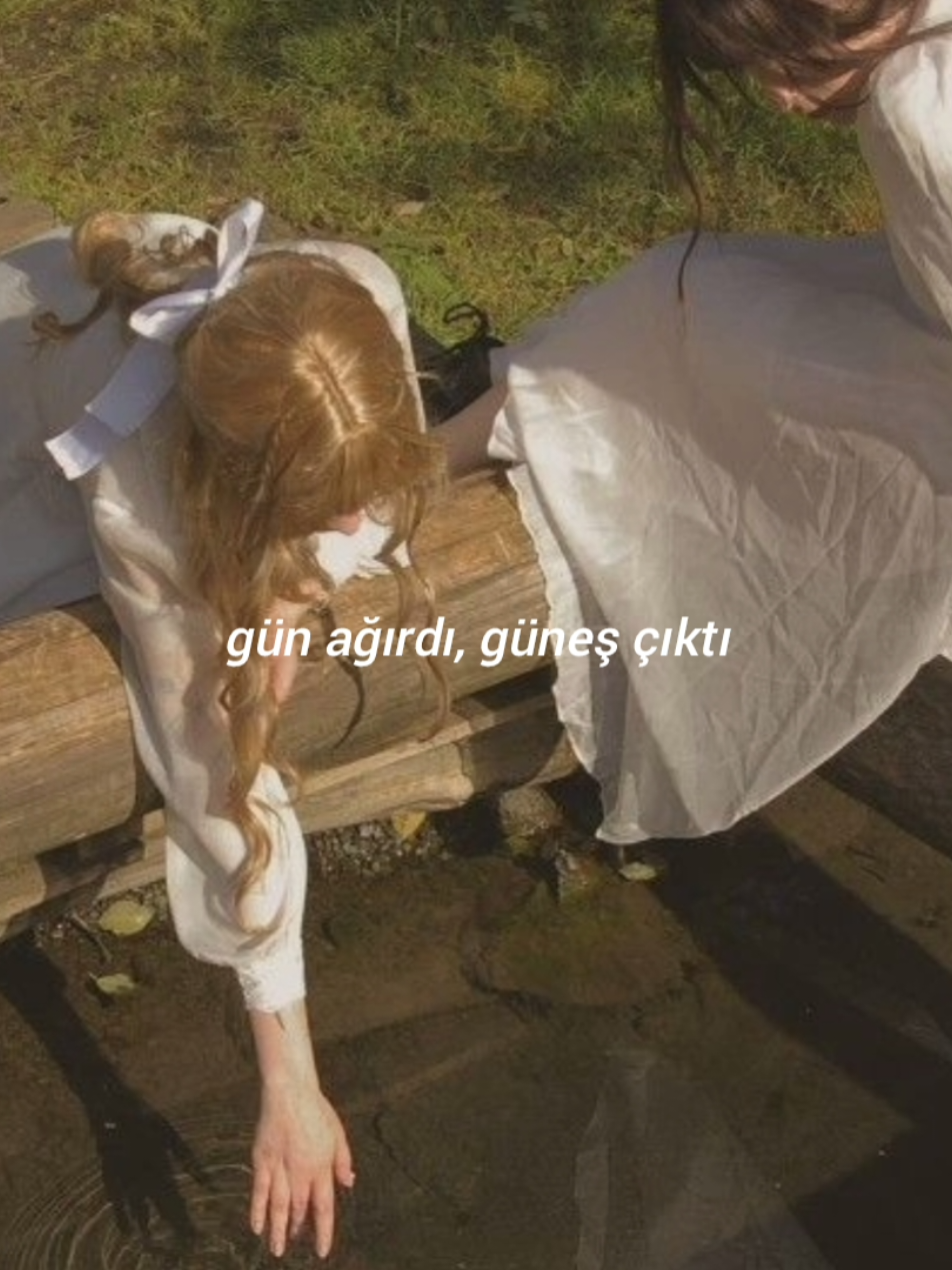 🌷 #fy#lyrics#persian#songs#janemaryam 