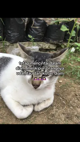diem diem bae bang😔😔 #fypage #storywa #katakatakeren #ngodecrush #katakata #masukberanda #xyzbca #4u #fypviralシviral #crush 
