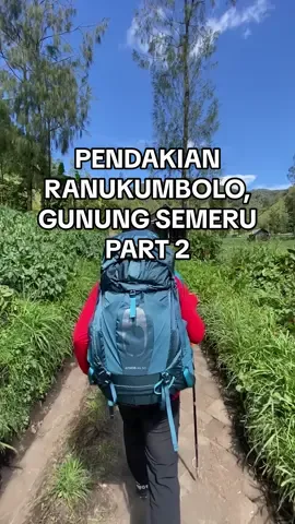 cerita pendakian part ini perjalanan dari #ranupani ke pos 3. estimasi sekitar 3 sampe 4 jam.  #ranukumbolo #gunungsemeru #malang #lumajang #pendaki #mountain #jogja 
