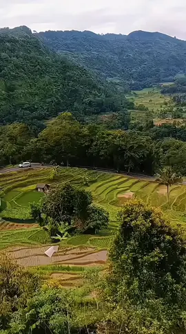 warung makan dgn view yg 👍🫰 #warungpanoramaalamnaringgul  #balegede_naringgul_cianjurselatan 