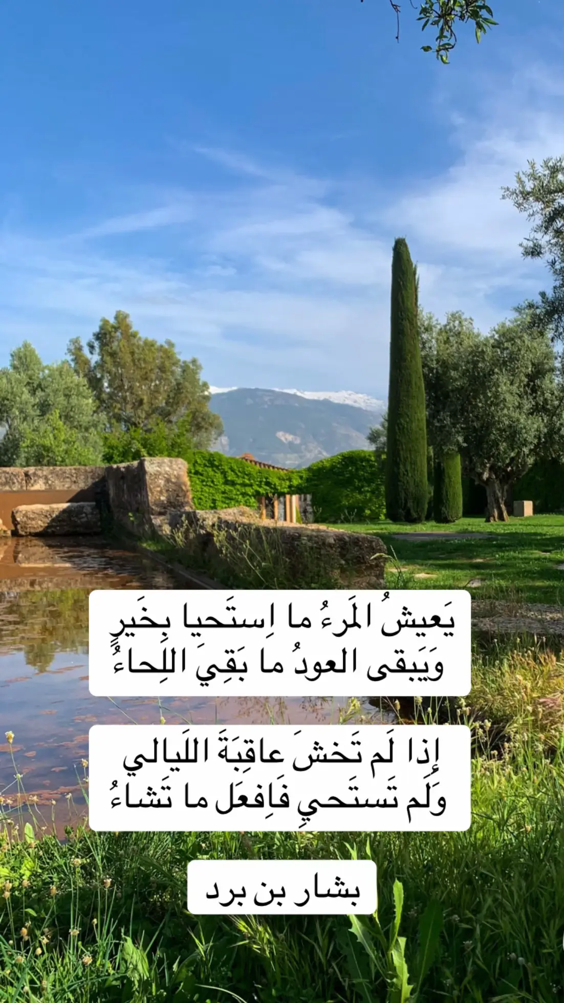 #قصايد_شعر_خواطر_شيلات_الاكسبلور#غرناطة#قصر_الحمراء_الأندلس#