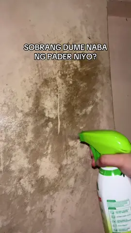 SEAWAYS MULTIPURPOSE CLEANER - panlinis ng pader bowl at tiles. #seaways 