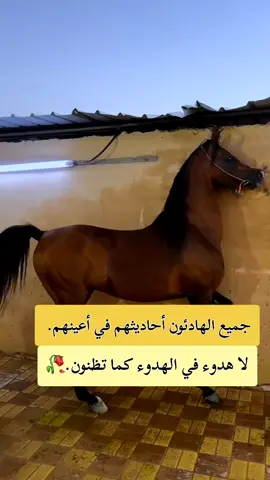 #عبارات #خواطر #fypシ #explore 