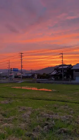 #japan #japanvibes #sunset #somebodyspleasure #takagisan #日本 #おすすめ #fyp 