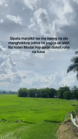 #CapCut #lirikbatak #lagubatak #batak #halakbatak #borubata #roha #fyp #foryoupage 