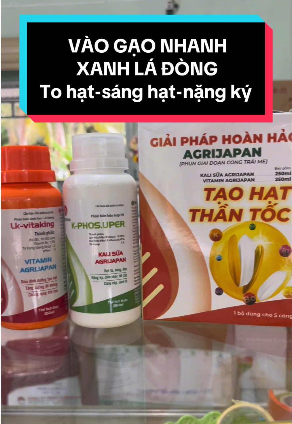 TẠO HẠT THẦN TỐC - Vào gạo nhanh, dưỡng xanh lá, sáng hạt, no chắc hạt #yennhivtnn #lamruong #nongdan #taohatthantoc #vogao 
