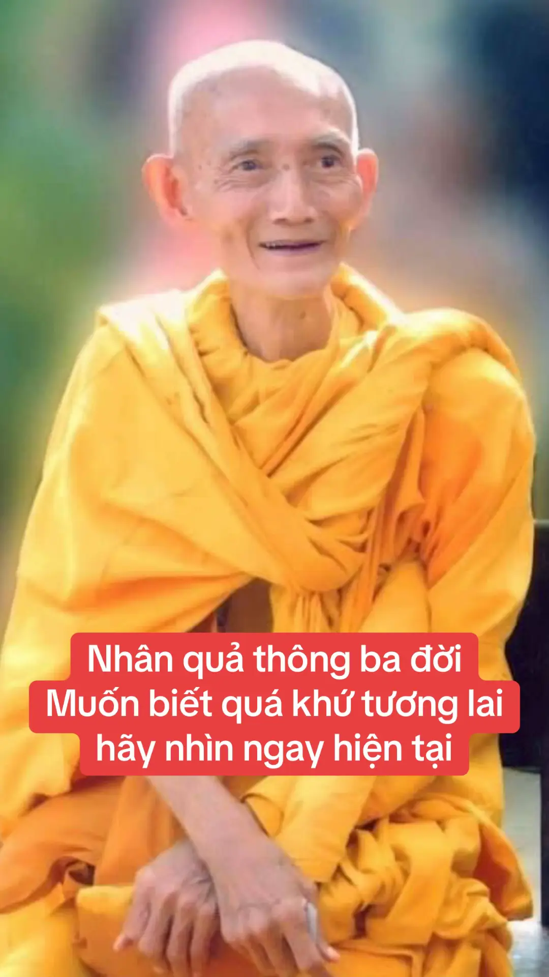 Nhân quả thông ba đời Muốn biết quá khứ tương lai hãy nhìn ngay hiện tại #phatphapvobien #daophattrongtraitimtoi #sugiackhang #thichgiackhang 