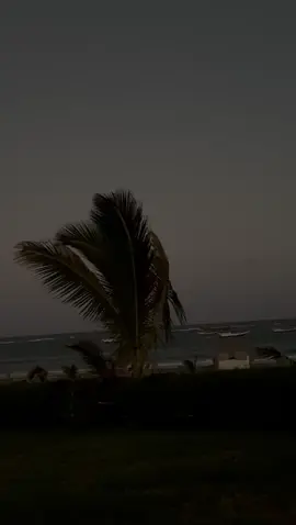 🤟🔥