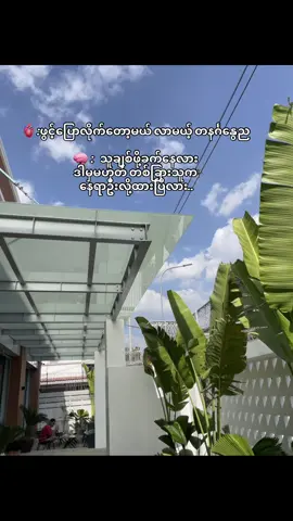 The Answer #crdစာသား #tiktokmyanmar #fypシ 