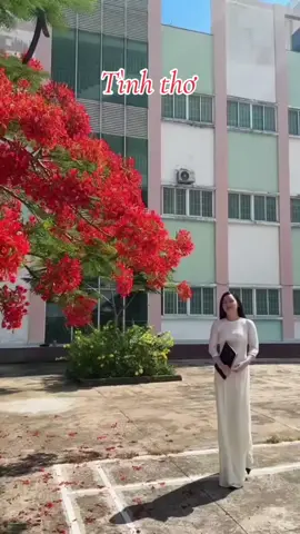#xuhuongtiktok #nhachaymoingay #tamtrang #Tinhtho