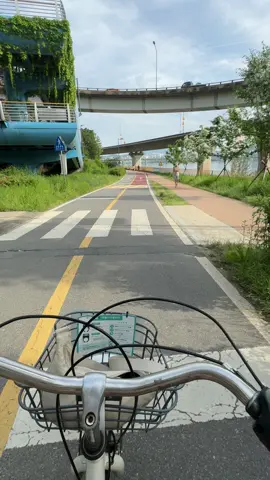 A spring day at han River #seoul #korea #bike #ride #springday 