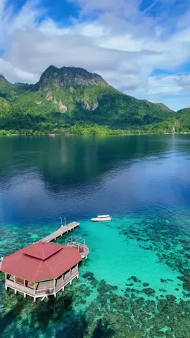 Where the sea turns crystal, and time slows down. Ora Beach is all about quiet beauty and simple peace. 🌿🌊 Cr/Ig: Seagrapes.travel 📍Ora Beach, Indonesia #WonderfulIndonesia #OraBeach #MalukuIslands #ExploreIndonesia #HiddenGem