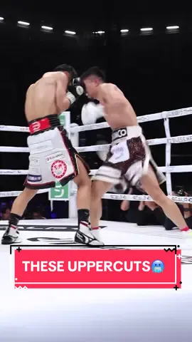 Uppercuts on uppercuts 😳 #boxing #juntonakatani #ringside #toprank 